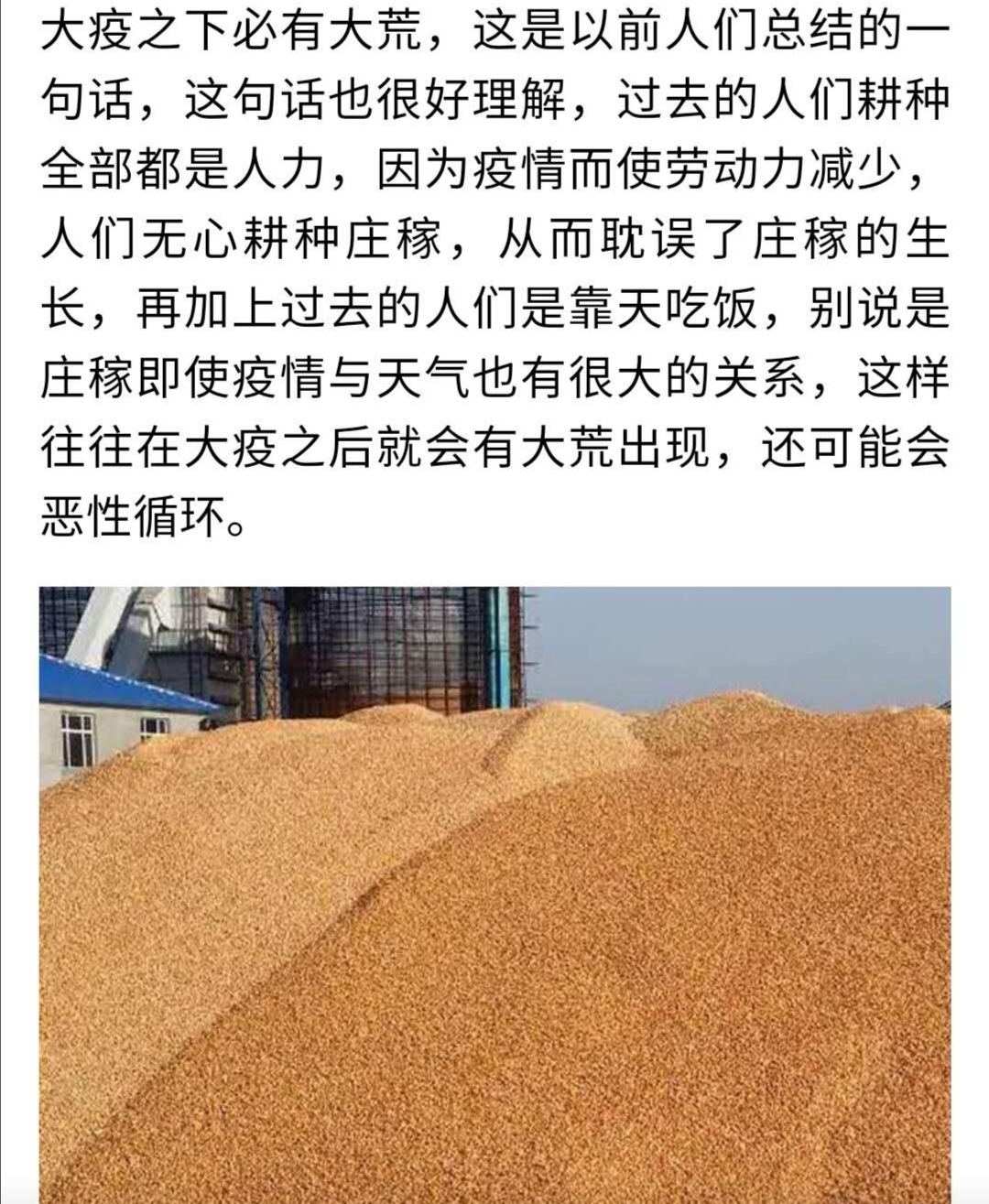 粮食短缺对期货市场会造成什么样的影响? 粮食短缺对期货市场会造成什么样的影响?